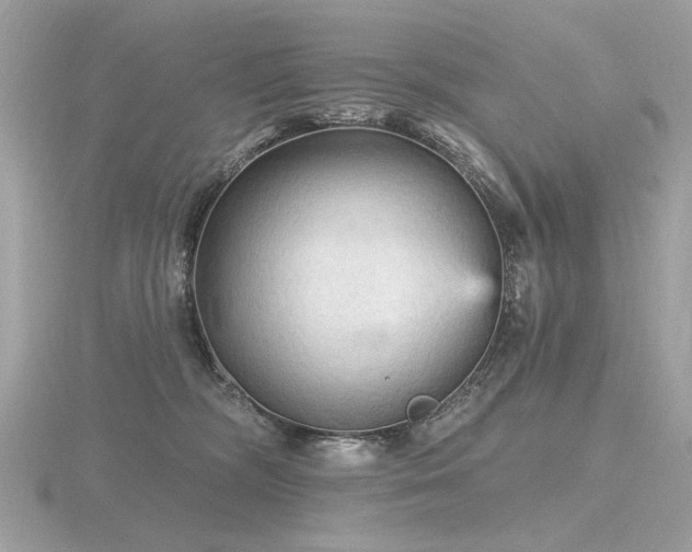 X0000116570326200912101516