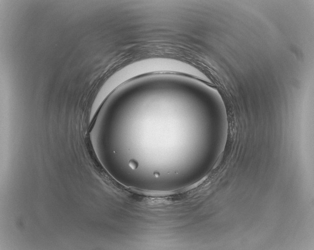 X0000116570327200912101516