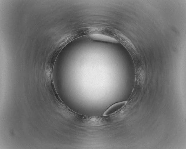 X0000116570329200912101516