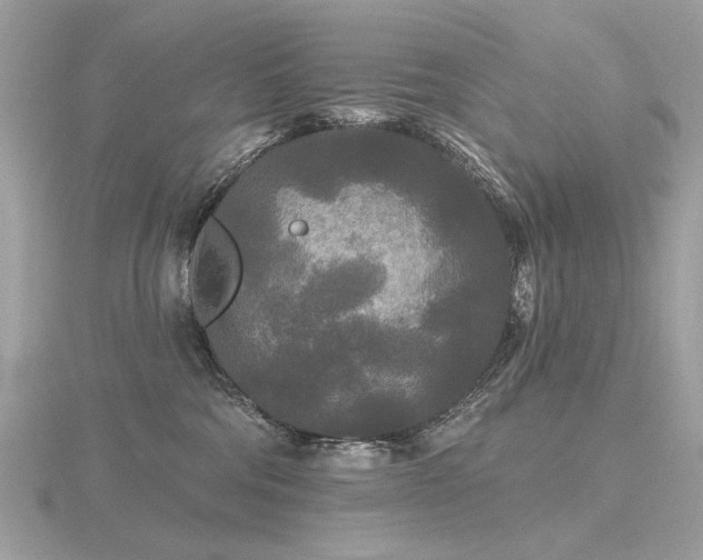 X0000116570330200912101516