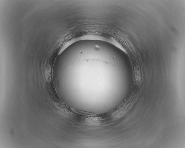 X0000116570332200912101516