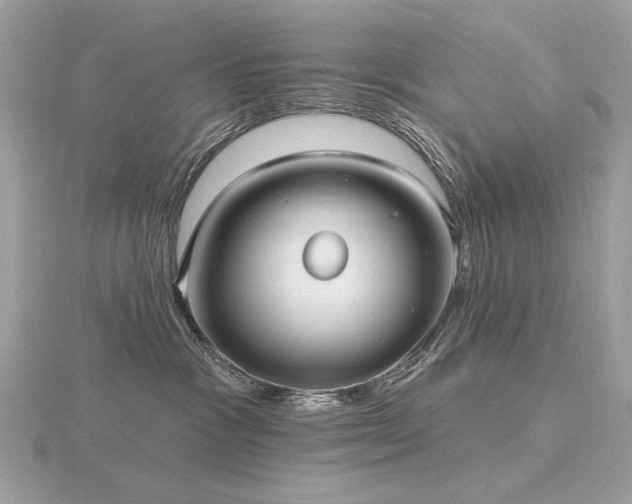 X0000116570333200912101516