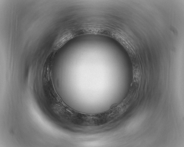 X0000116570334200912101516