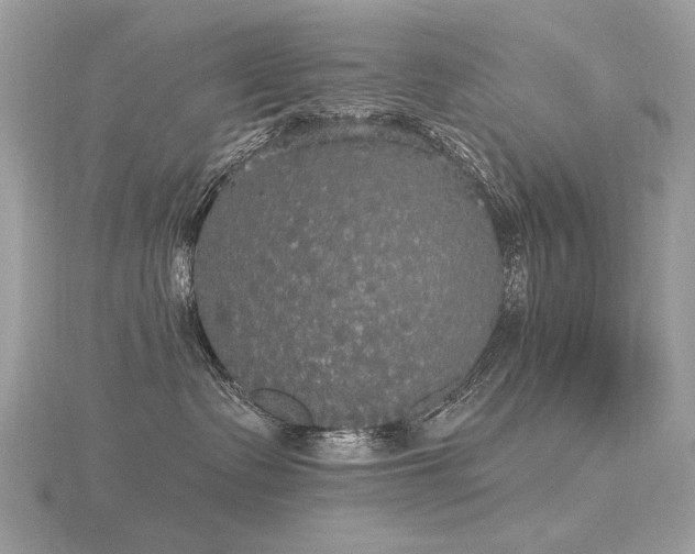 X0000116570335200912101516