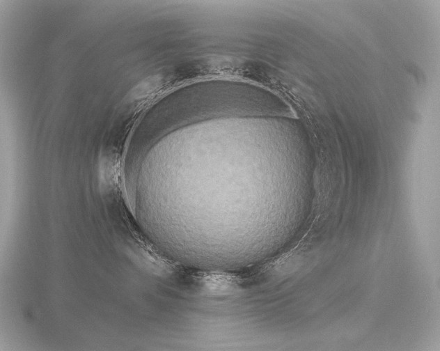 X0000116570336200912101516