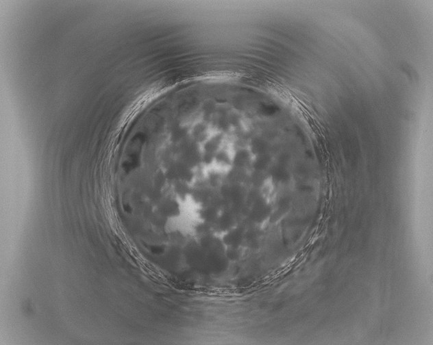 X0000116570337200912101515