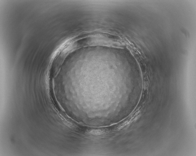 X0000116570341200912101515