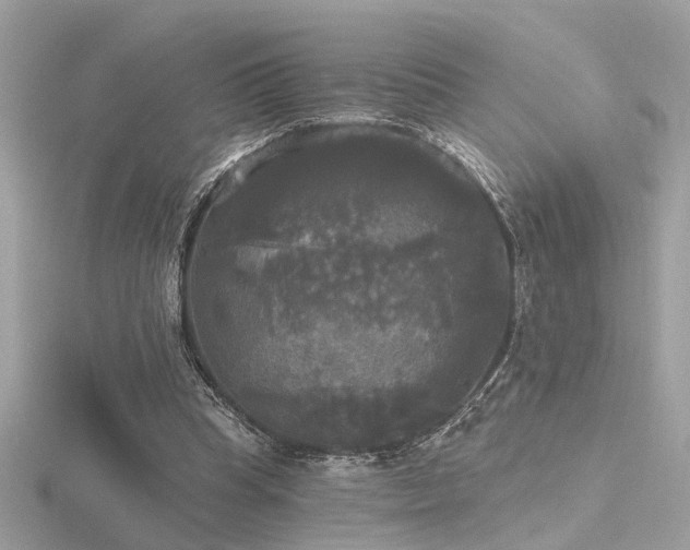 X0000116570345200912101515