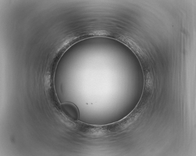 X0000116570351200912101515