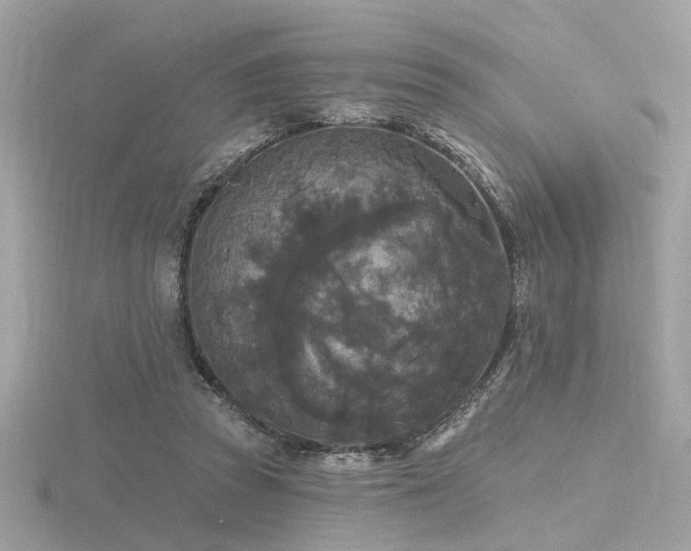 X0000116570353200912101515