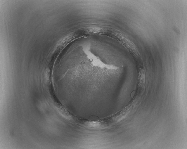 X0000116570361200912101515