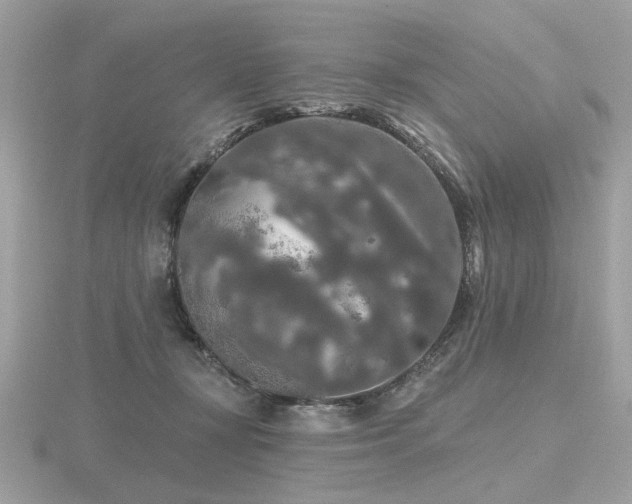 X0000116570367200912101515