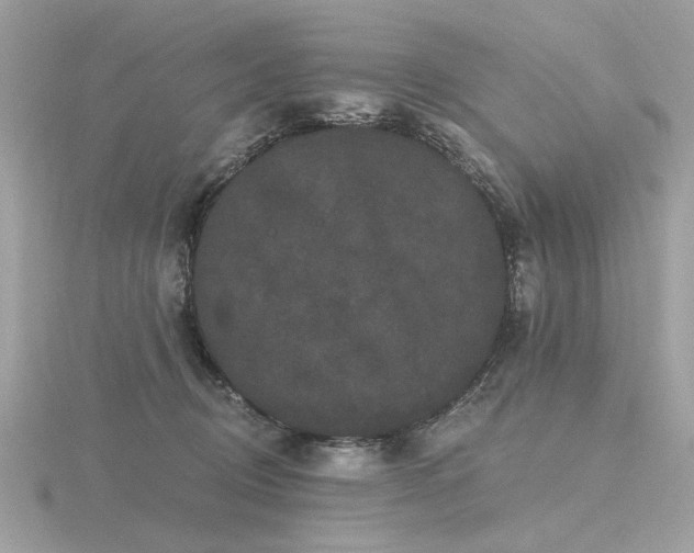 X0000116570370200912101515