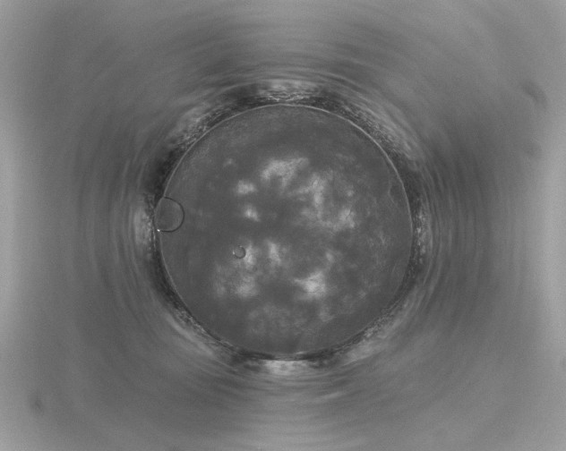 X0000116570371200912101515