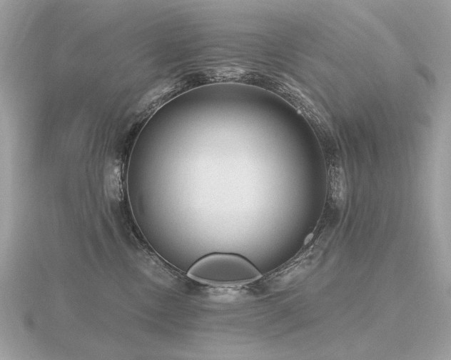 X0000116570378200912101515