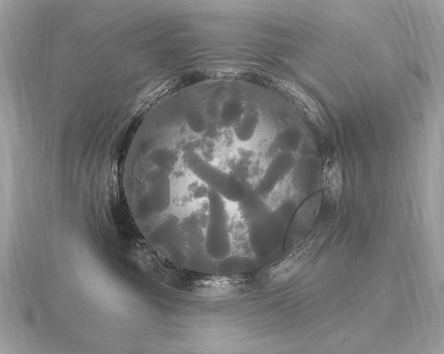 X0000116570381200912101515