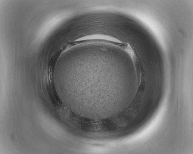 X0000116570382200912101515