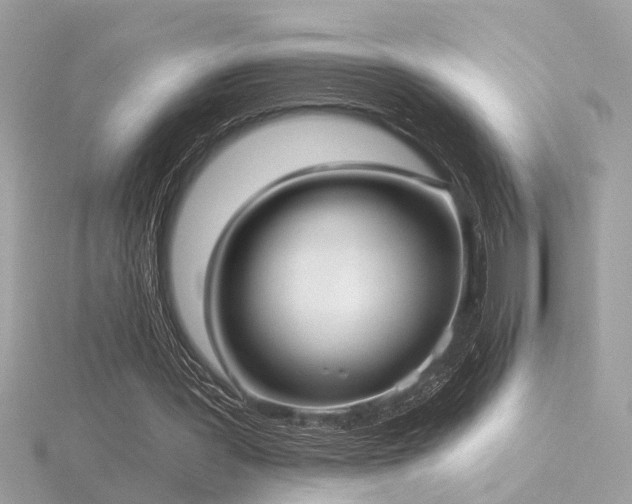 X0000116570387200912101515