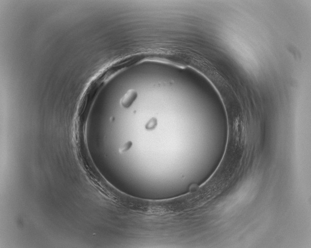 X0000116570388200912101515