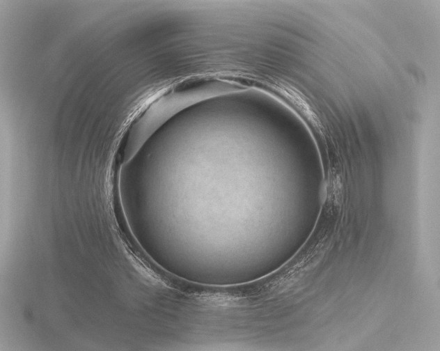 X0000116570389200912101515