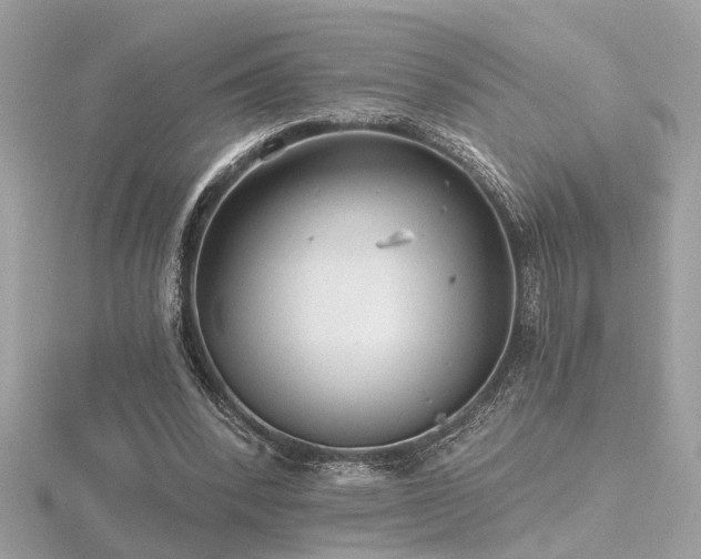 X0000116570392200912101515