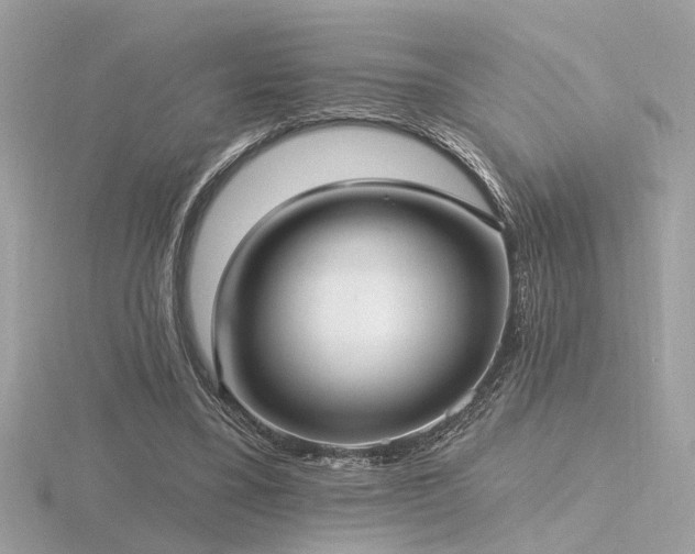 X0000116570395200912101515