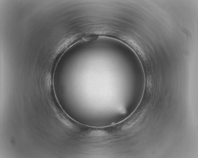 X0000116570397200912101515