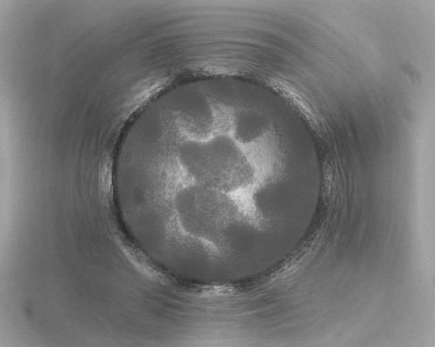 X0000116570398200912101515