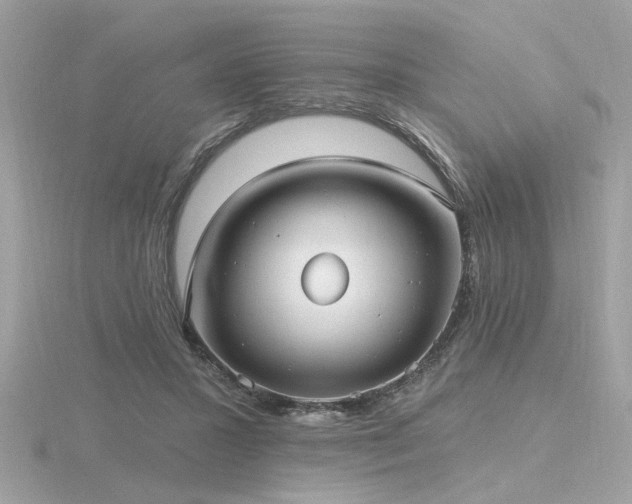 X0000116570407200912101515