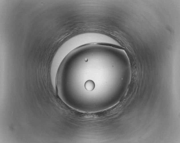 X0000116570415200912101515