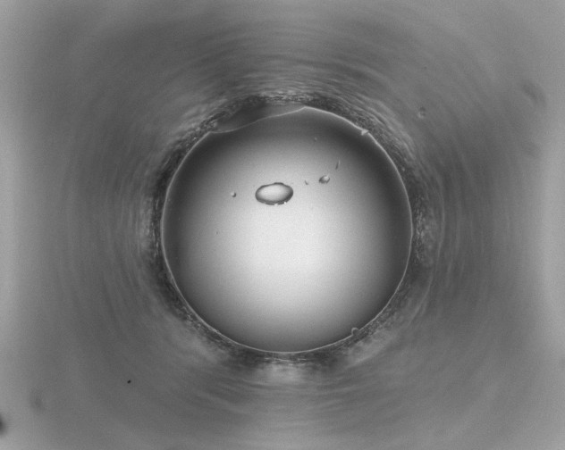 X0000116570416200912101514