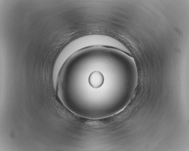 X0000116570417200912101514