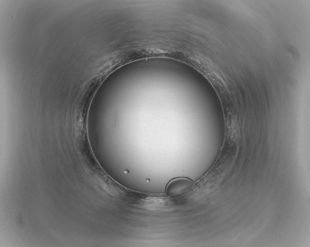 X0000116570418200912101514