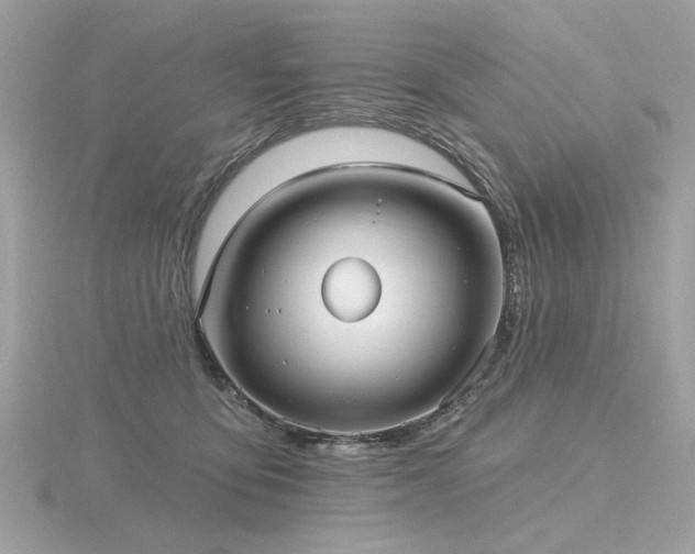 X0000116570419200912101514