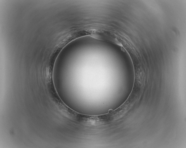 X0000116570420200912101514