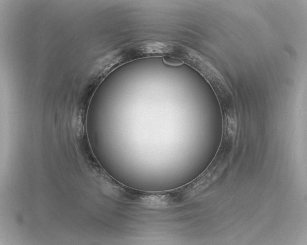 X0000116570422200912101514