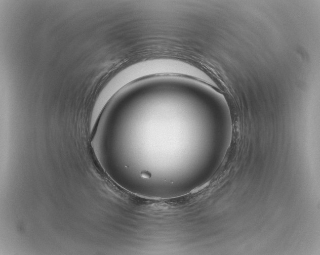 X0000116570423200912101514