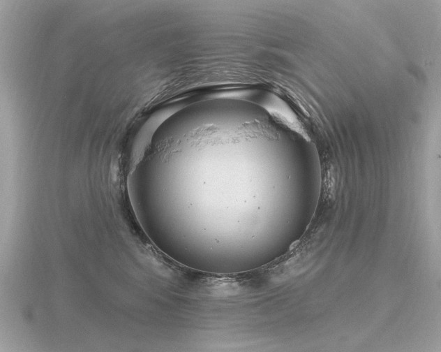 X0000116570424200912101514