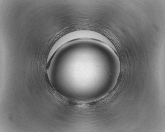 X0000116570425200912101514