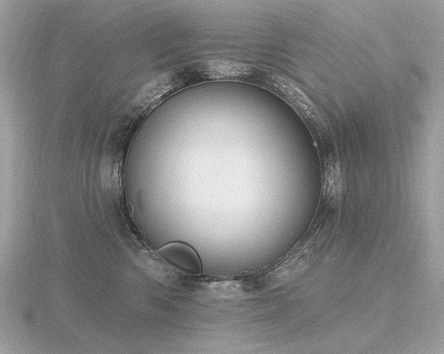 X0000116570426200912101514