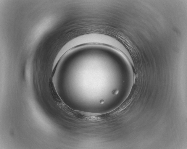 X0000116570429200912101514