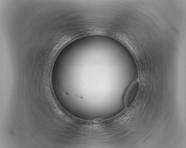 X0000116570433200912101514