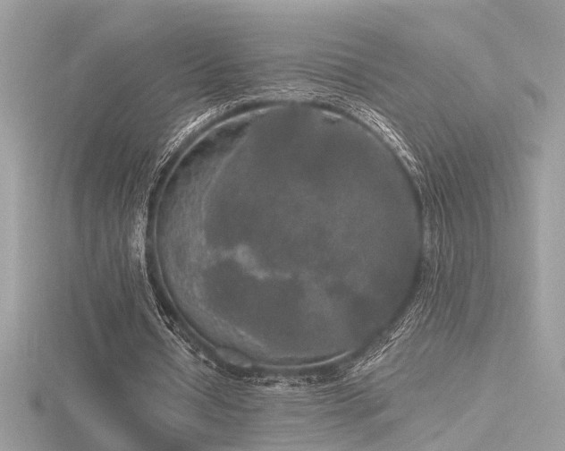 X0000116570434200912101514