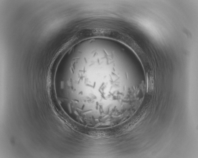 X0000116570435200912101514