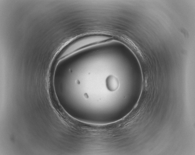 X0000116570436200912101514