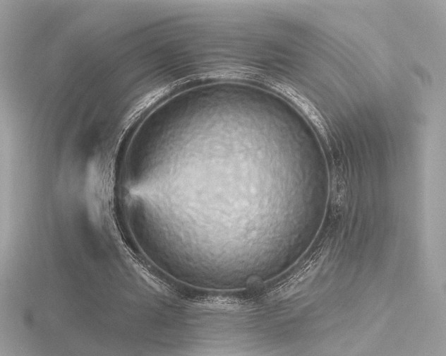 X0000116570437200912101514