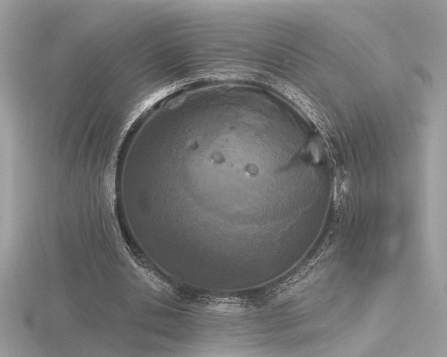 X0000116570438200912101514