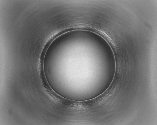 X0000116570439200912101514