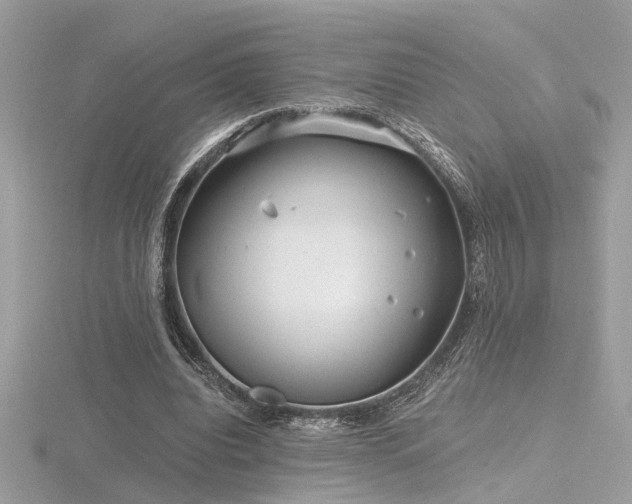 X0000116570440200912101514