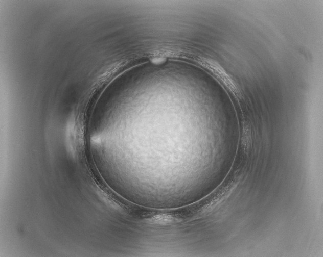 X0000116570441200912101514